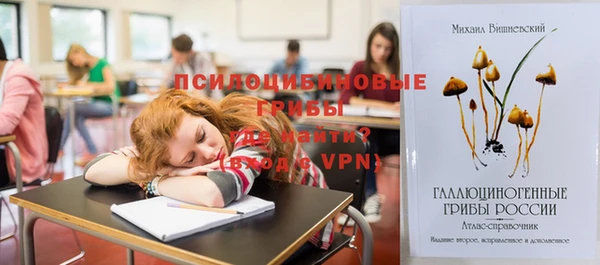 ECSTASY Дмитров