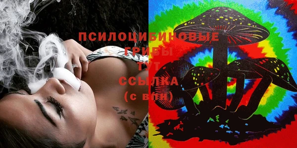 ECSTASY Дмитров