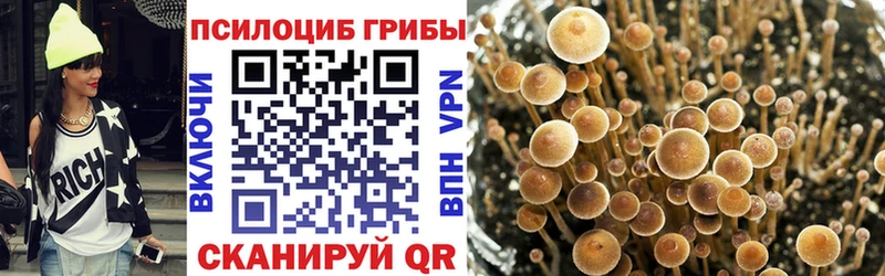 продажа наркотиков Окуловка Галлюциногенные грибы прущие грибы